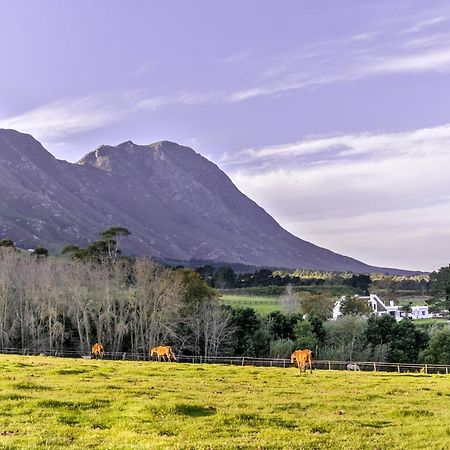 Отель Hemel 'N Aarde Stud Херманус Экстерьер фото