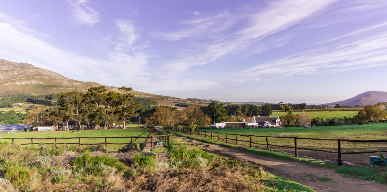 Отель Hemel 'N Aarde Stud Херманус Экстерьер фото