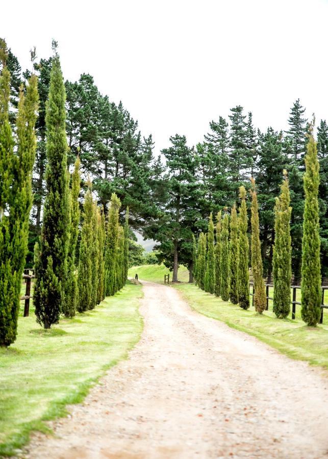 Отель Hemel 'N Aarde Stud Херманус Экстерьер фото